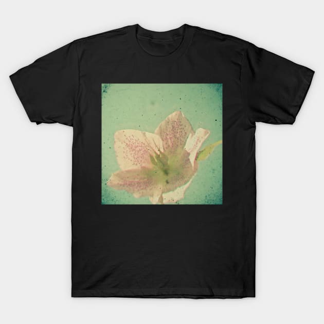 Nostalgia T-Shirt by Cassia